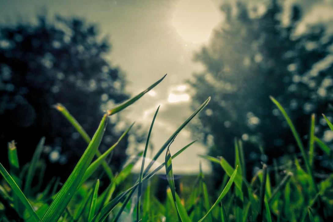 Blanditiis omnis aliquid consequatur sapiente blanditiis animi error quibusdam recusandae